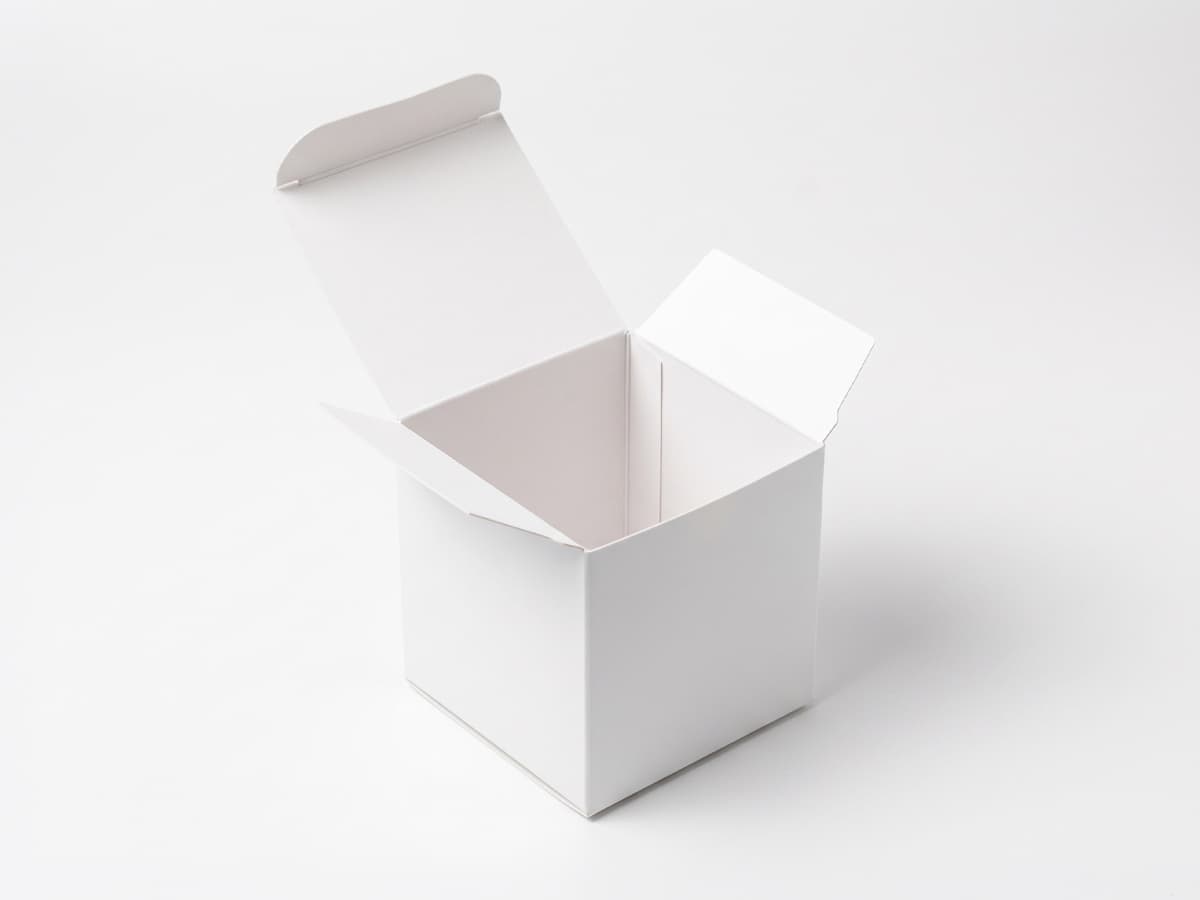Die-cut box, open